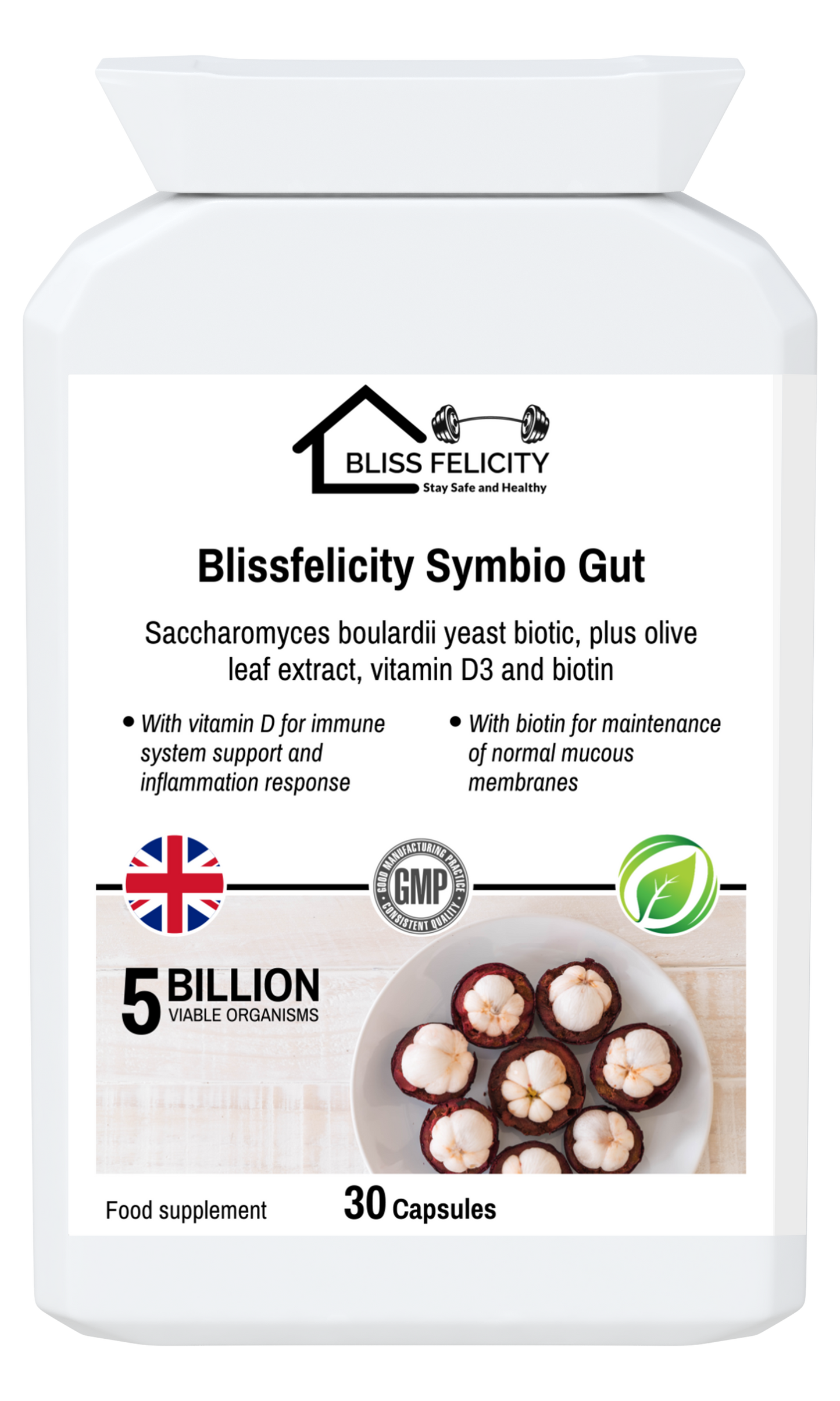 Blissfelicity Symbio Gut