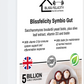Blissfelicity Symbio Gut