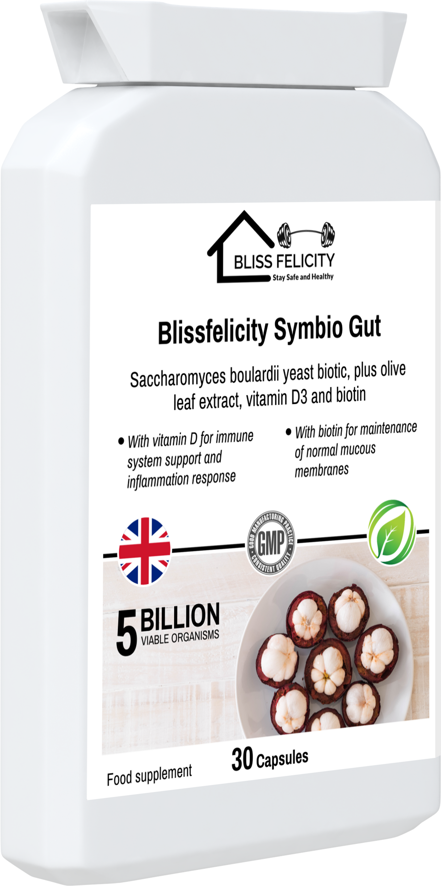 Blissfelicity Symbio Gut