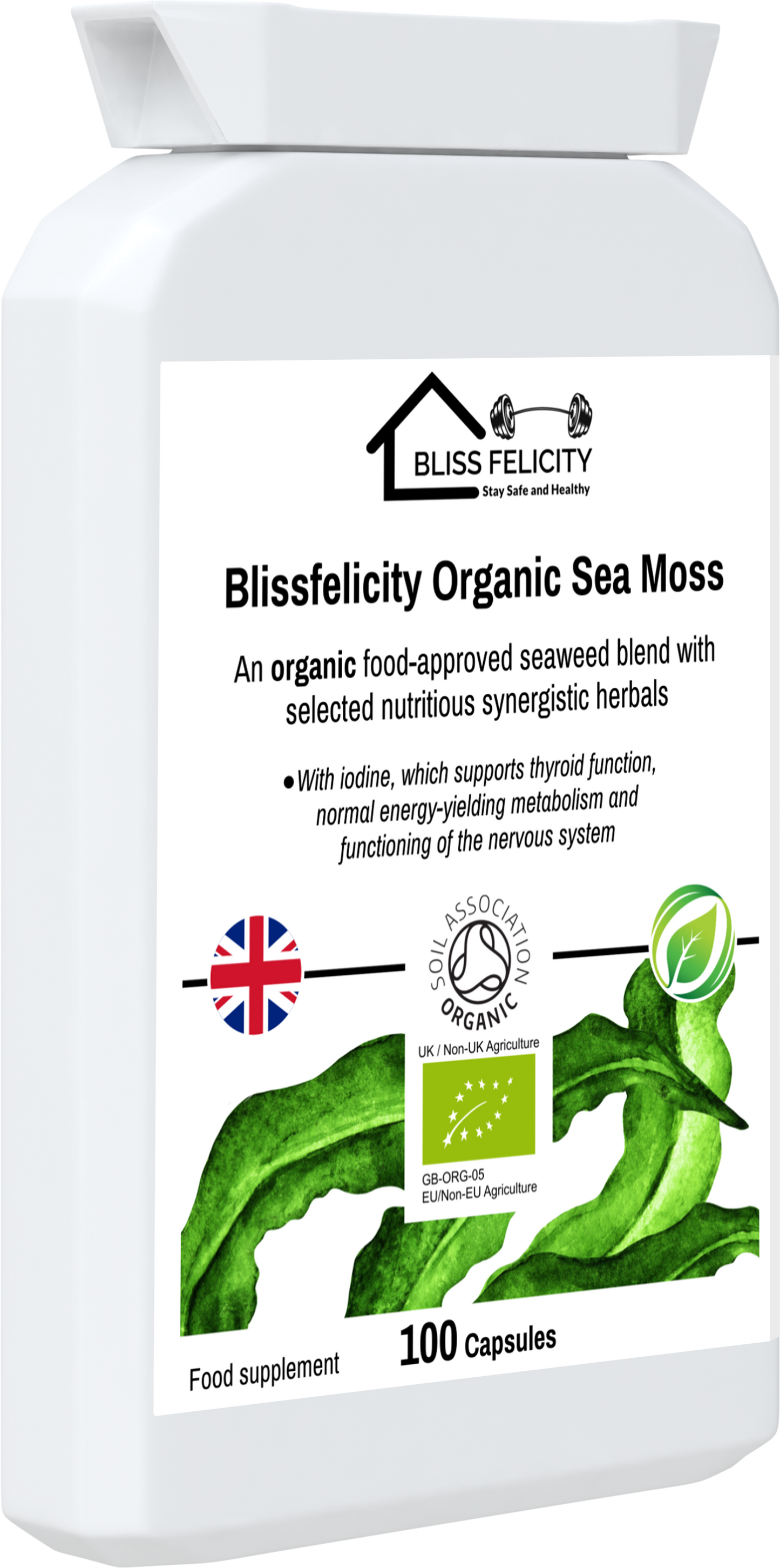 Organic Sea Moss Side View